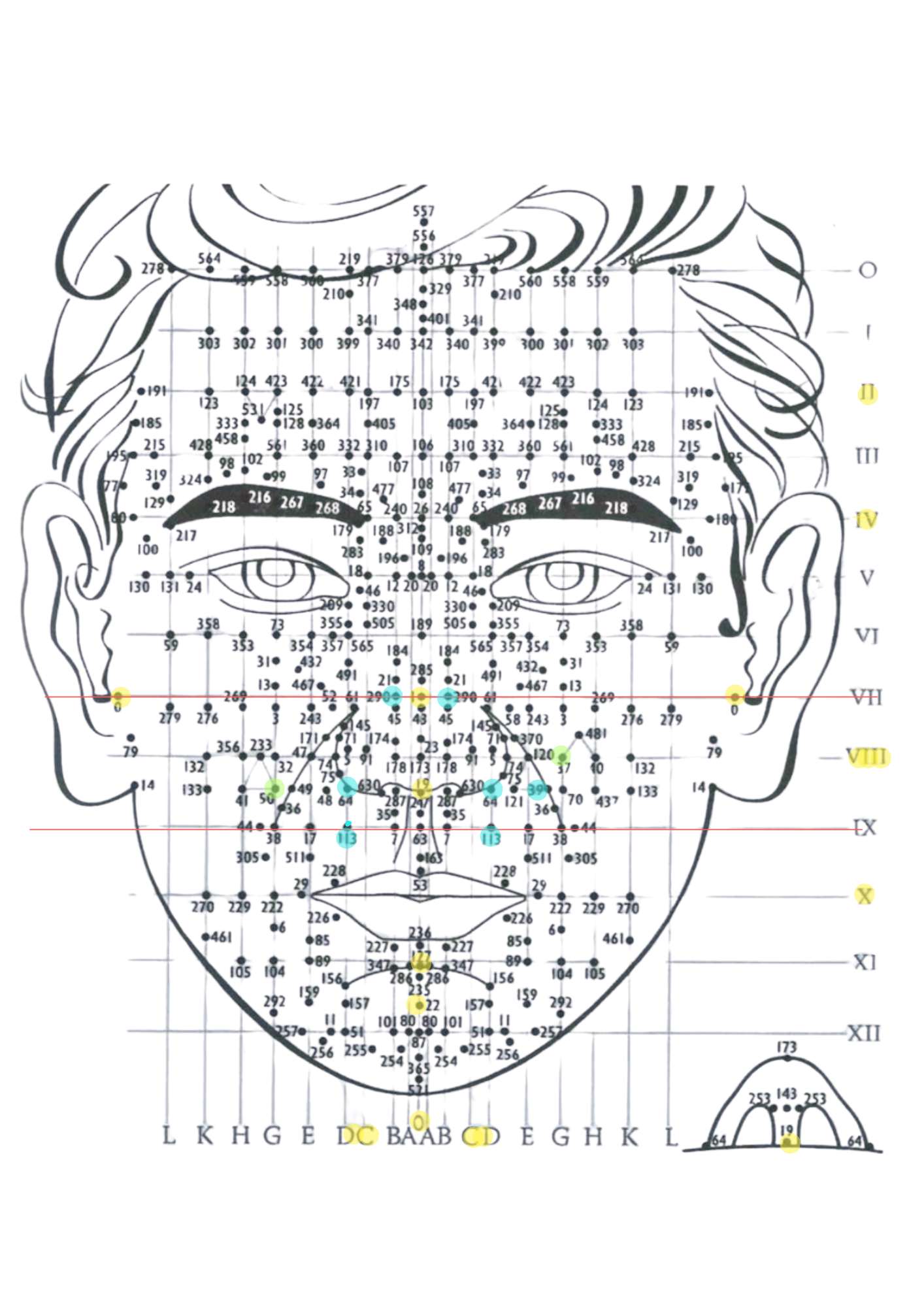 Dien Chan – schémas réflexes visage et crâne